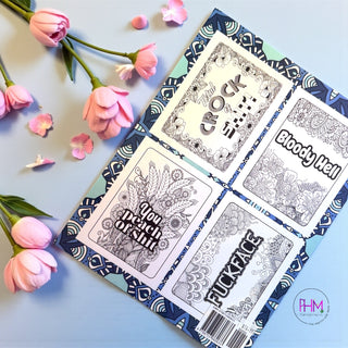 You Fucking Got This Coloring Book đȘ