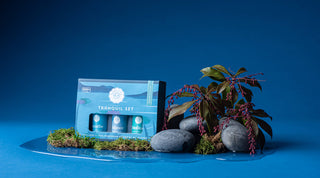 🌿 The Tranquil Essential Oil Collection | Woolzies
