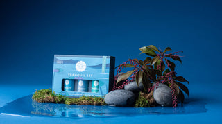 🌿 The Tranquil Essential Oil Collection | Woolzies