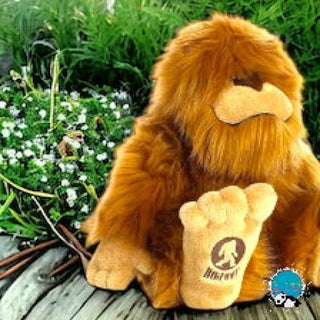 Big Foot Plush | Aurora 💜