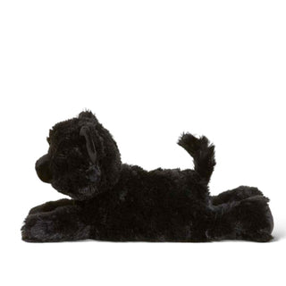 Binx Black Cat | Limited Edition | Large Warmie 🐈⬛