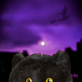 Binx Black Cat | Limited Edition | Large Warmie 🐈⬛