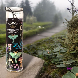 Black Forest Wildberry Candle 🍄