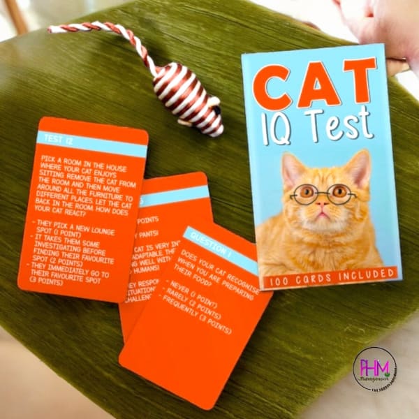 Cat IQ Test Trivia 🐈 - Toys & Games