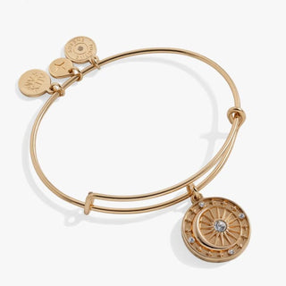 Cosmic Balance Charm Bangle | Alex + Ani 🌙 - Jewelry