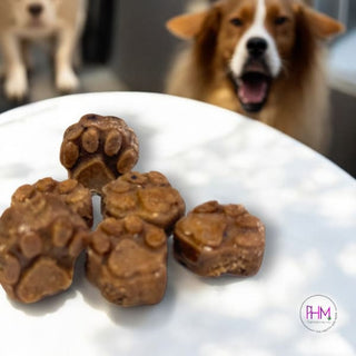 Dog Dazed Organic CBD Blueberry Bites for Dogs 🐶 - Treats