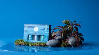 🌿 The Tranquil Essential Oil Collection | Woolzies