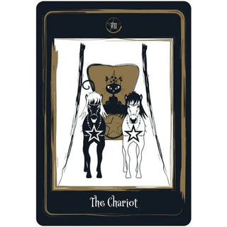 Golden Black Cat Tarot 🐈⬛