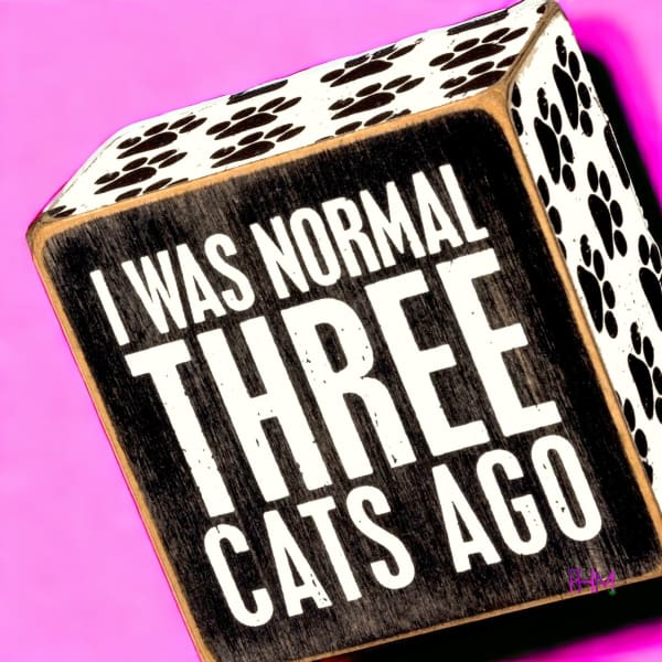 I Was Normal Box Sign 🐈‍⬛