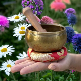 Inner Peace Brass Tibet Singing Bowl