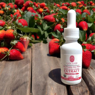Luce Farm Exclusive The Pretty Hot Mess Strawberry Full
