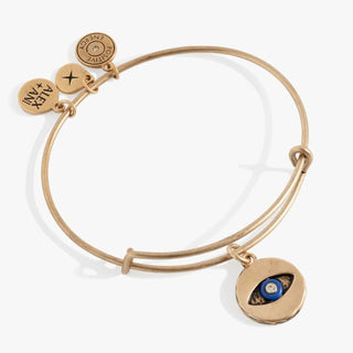 Untamed Evil Eye Charm Bangle | Alex + Ani 🧿 - Jewelry