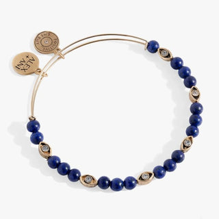 Untamed Evil Eye Lapis Bangle | Alex + Ani 🧿 - Jewelry