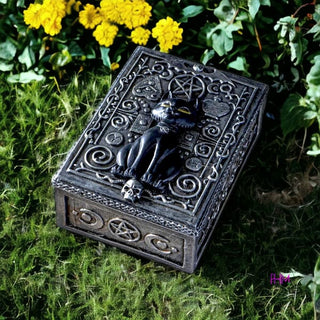 Witches Familiar Black Cat Enchanted Tarot Box 🐈⬛