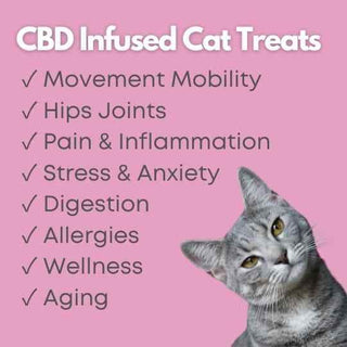 Kat’s Meow Cat Treats