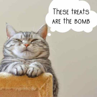 Kat’s Meow Cat Treats