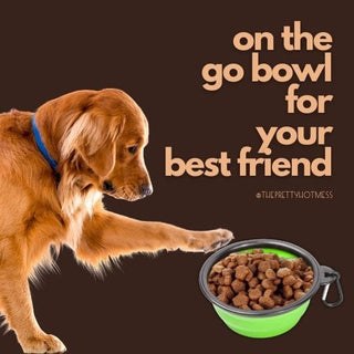*Pupware Collapsible Doggie Dish - Done