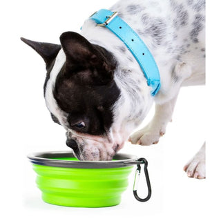 *Pupware Collapsible Doggie Dish - Done