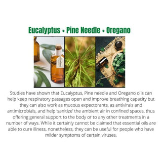 NEW VERSION Tweedle Dee Needle Hemp Infused Nasal Spray