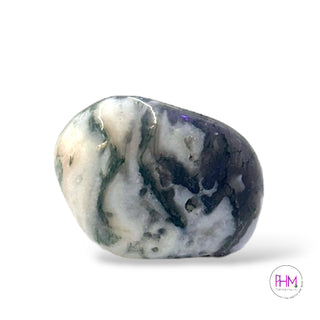 Mystical Tree Agate Tumbled Stone 🌳