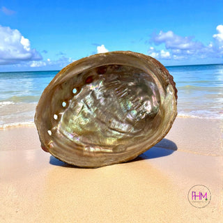 Enchanted Abalone Smudging Shell 🐚