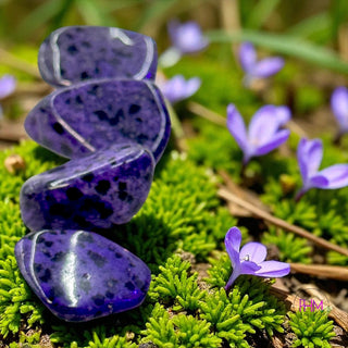💜 Ominous Purple Howlite Crystal ✨
