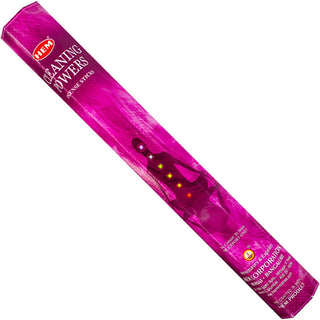 ✨ Cleaning Power Incense Sticks | HEM 🖤