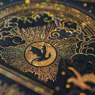 Shadows of Navarre Journal | Paperblanks 🖤🐉