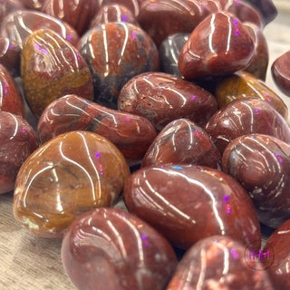 Petrified Wood Tumbled Stone 🌳✨