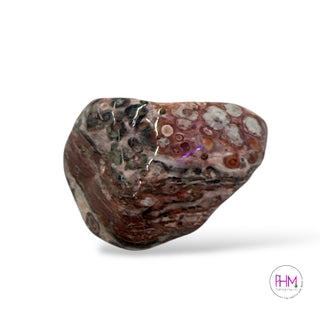 Leopard Skin Jasper Tumbled Stone 🐆