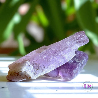 Spellbound Kunzite Raw Crystal 💜