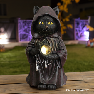 🌙 Midnight Familiar Solar Wizard Cat ✨