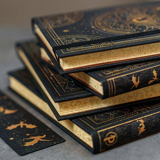 Shadows of Navarre Journal | Paperblanks 🖤🐉