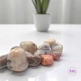 Botswana Agate Tumbled Stones 🖤🤍