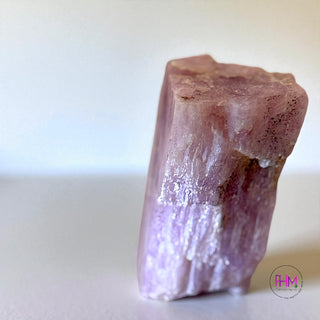 Spellbound Kunzite Raw Crystal 💜