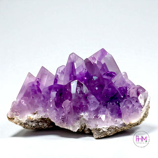Enchanted Amethyst Crystals 💜