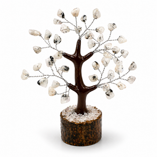 Rooted in Magic Crystal Tree 🌳✨ 🌿✨🌿✨