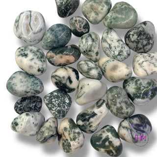 Mystical Tree Agate Tumbled Stone 🌳
