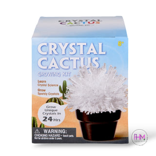 🌵✨ Crystal Cactus Growing Kit ✨🌵