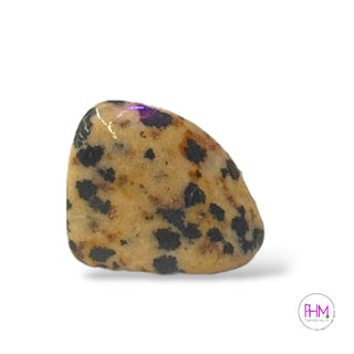 Dalmation Jasper Crystal Collection😎