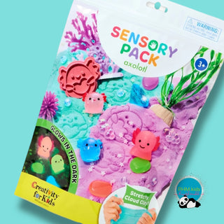 ✨ On-The-Go Sensory Packs ✨