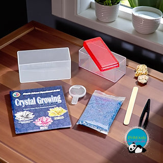 Crystal Growing Box Kit 💎✨