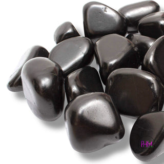 Blessed Shungite Crystal ✨