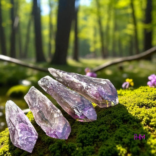 Enchanted Amethyst Crystals 💜
