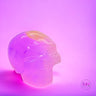 Skull *approx 85 grams