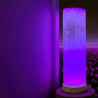 ✨ Soul Space Selenite Lamp Collection ✨