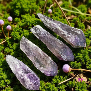 Enchanted Amethyst Crystals 💜