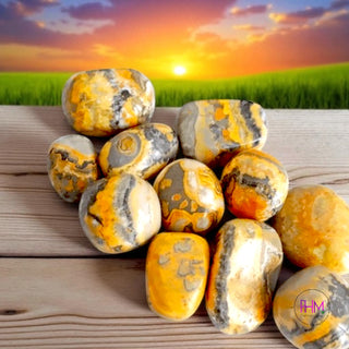 Bumble Bee Jasper Tumbled Stone 🐝💛