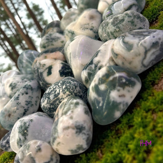 Mystical Tree Agate Tumbled Stone 🌳