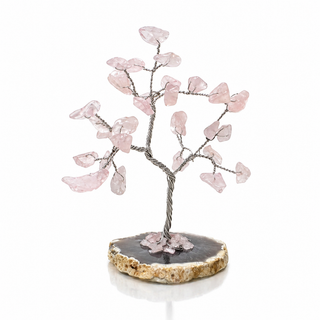 Crystal Serenity Tree Crystal Serenity Tree 🌿✨🌿✨